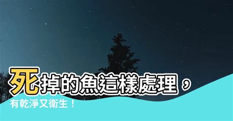 夢到死掉的魚